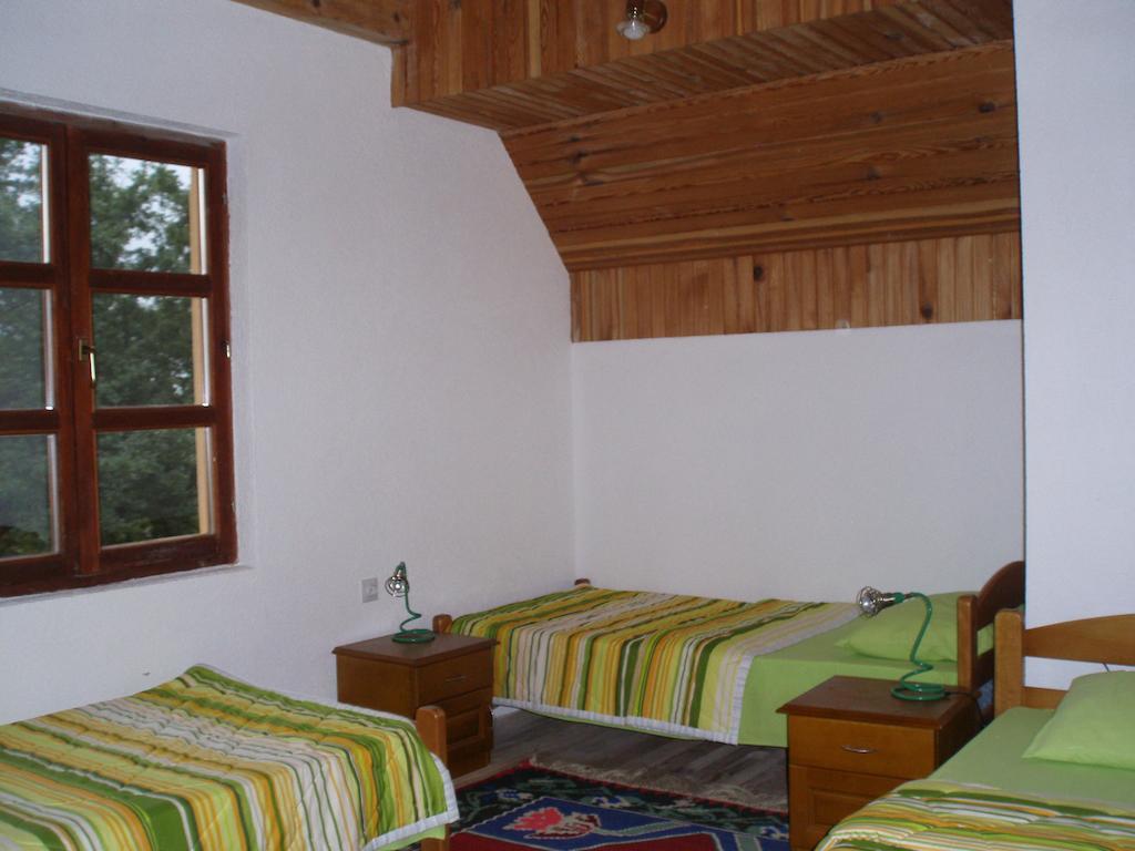 Guest House Tara Canyon Pljevlja Zimmer foto
