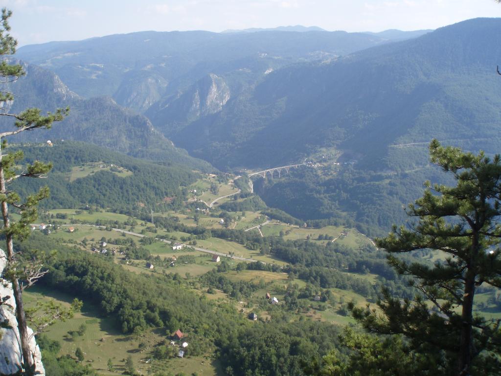 Guest House Tara Canyon Pljevlja Exterior foto