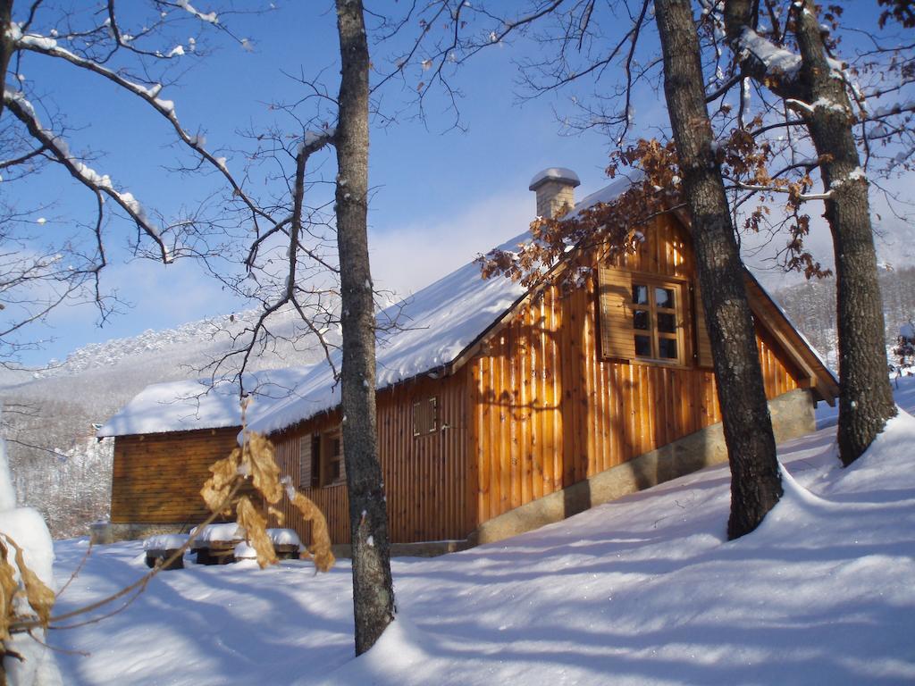 Guest House Tara Canyon Pljevlja Exterior foto